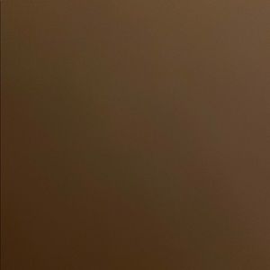 Meet your Posher, Abigail